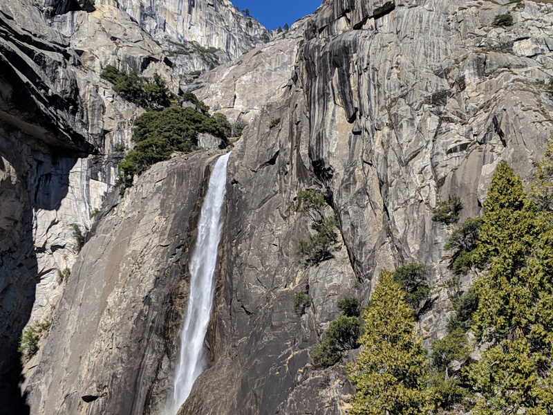 Illustration for article titled Toby in Yosemite